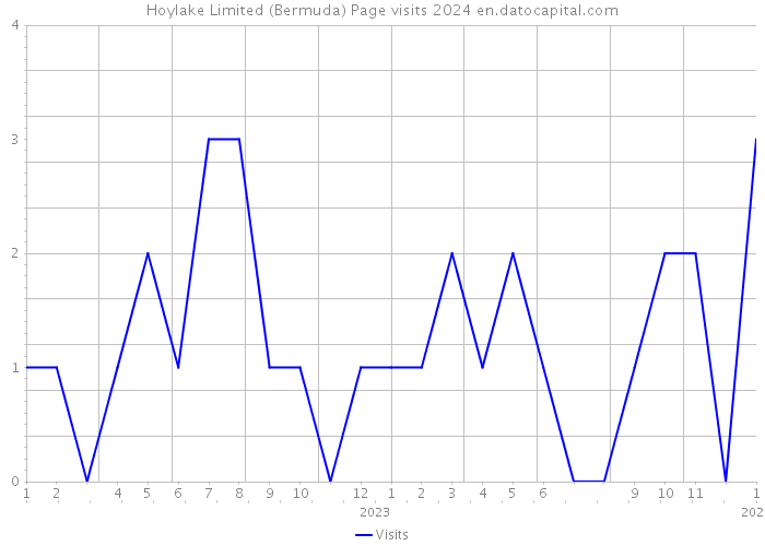Hoylake Limited (Bermuda) Page visits 2024 