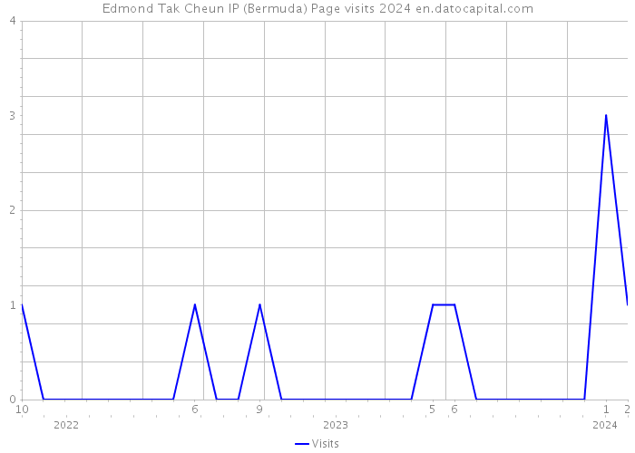 Edmond Tak Cheun IP (Bermuda) Page visits 2024 