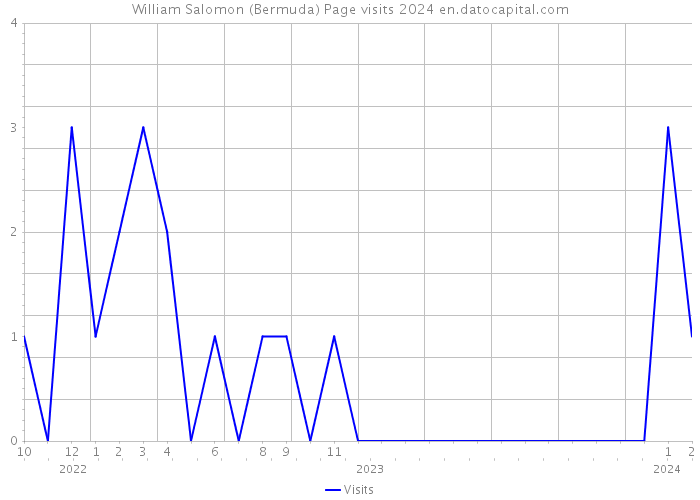 William Salomon (Bermuda) Page visits 2024 