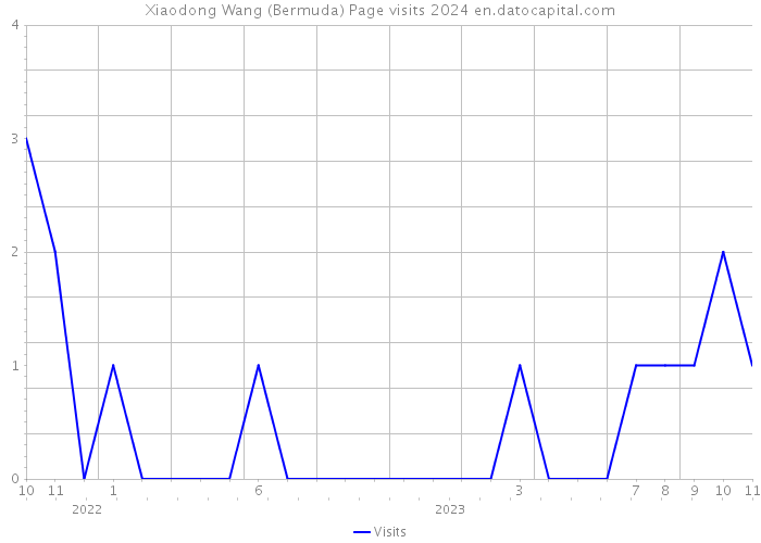 Xiaodong Wang (Bermuda) Page visits 2024 