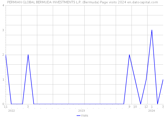 PERMIAN GLOBAL BERMUDA INVESTMENTS L.P. (Bermuda) Page visits 2024 