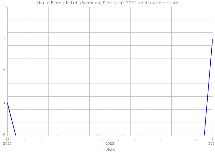 Liquid Bermuda Ltd. (Bermuda) Page visits 2024 