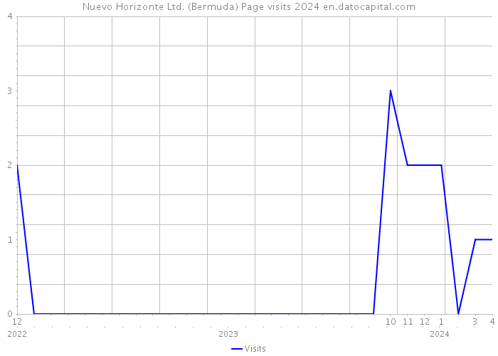 Nuevo Horizonte Ltd. (Bermuda) Page visits 2024 
