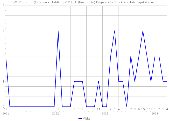 WFMS Fund (Offshore HoldCo-XIX Ltd. (Bermuda) Page visits 2024 