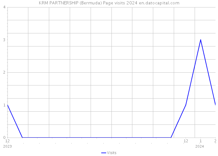 KRM PARTNERSHIP (Bermuda) Page visits 2024 