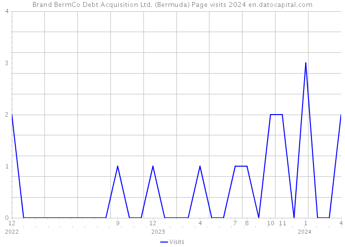 Brand BermCo Debt Acquisition Ltd. (Bermuda) Page visits 2024 