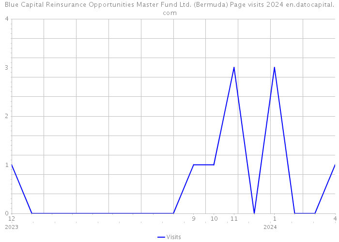 Blue Capital Reinsurance Opportunities Master Fund Ltd. (Bermuda) Page visits 2024 