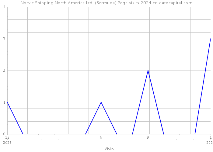 Norvic Shipping North America Ltd. (Bermuda) Page visits 2024 