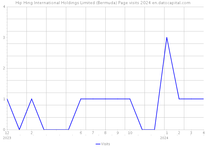Hip Hing International Holdings Limited (Bermuda) Page visits 2024 