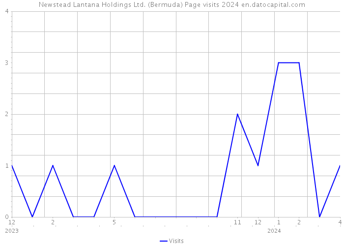 Newstead Lantana Holdings Ltd. (Bermuda) Page visits 2024 