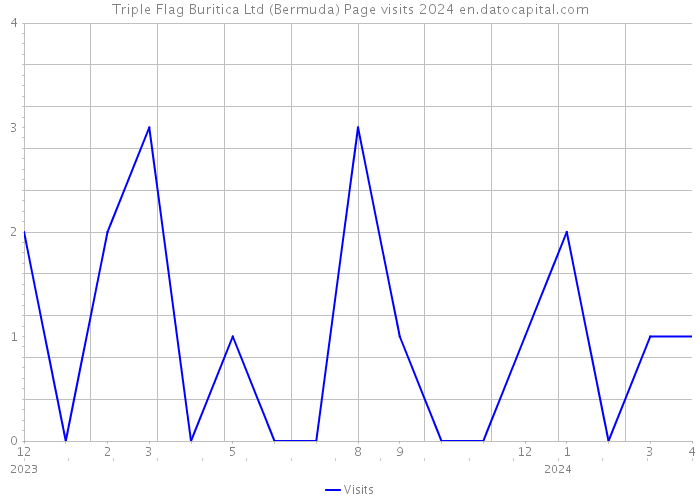 Triple Flag Buritica Ltd (Bermuda) Page visits 2024 