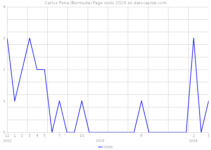 Carlos Pena (Bermuda) Page visits 2024 