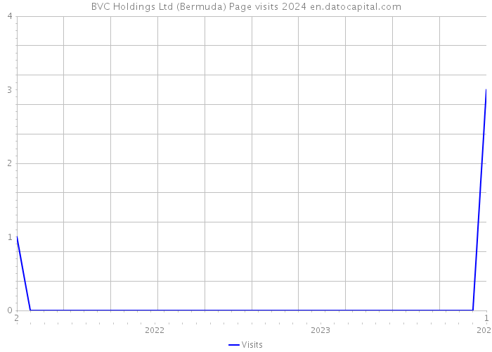 BVC Holdings Ltd (Bermuda) Page visits 2024 