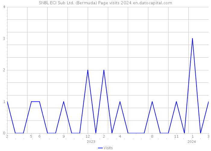 SNBL ECI Sub Ltd. (Bermuda) Page visits 2024 