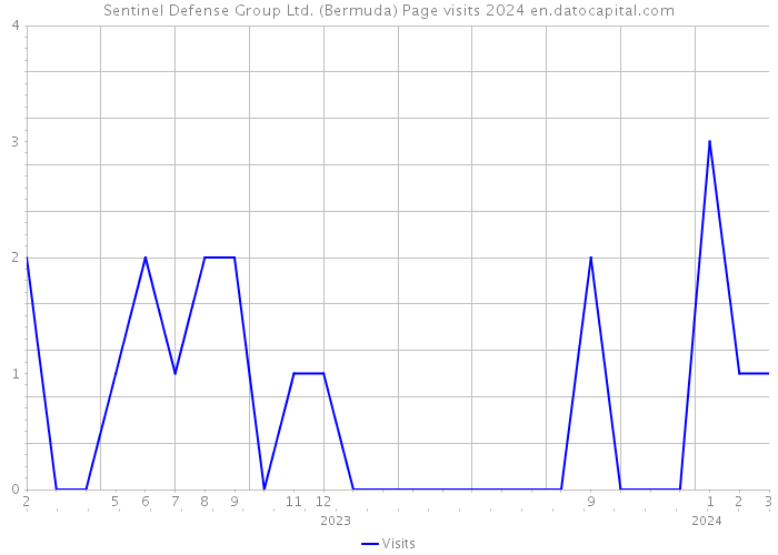Sentinel Defense Group Ltd. (Bermuda) Page visits 2024 