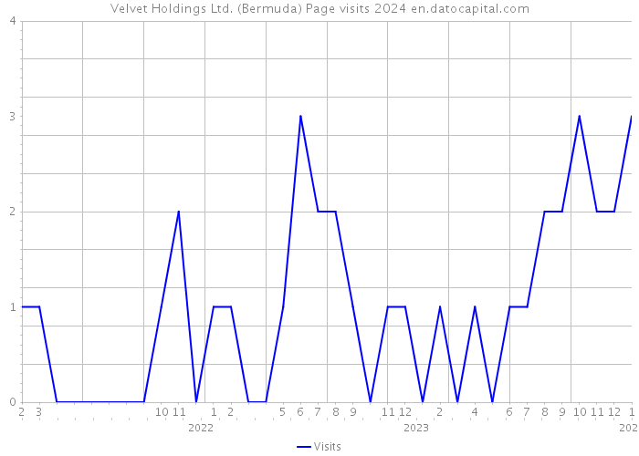 Velvet Holdings Ltd. (Bermuda) Page visits 2024 