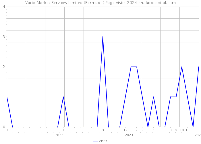 Vario Market Services Limited (Bermuda) Page visits 2024 