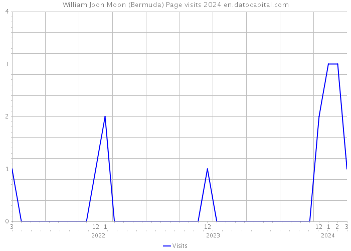 William Joon Moon (Bermuda) Page visits 2024 
