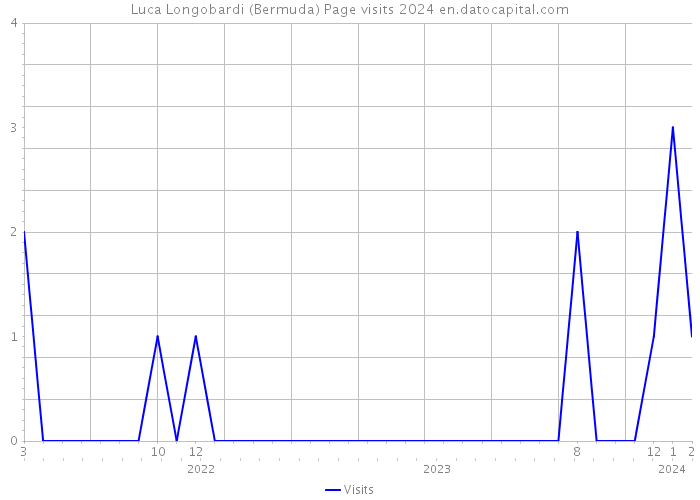 Luca Longobardi (Bermuda) Page visits 2024 