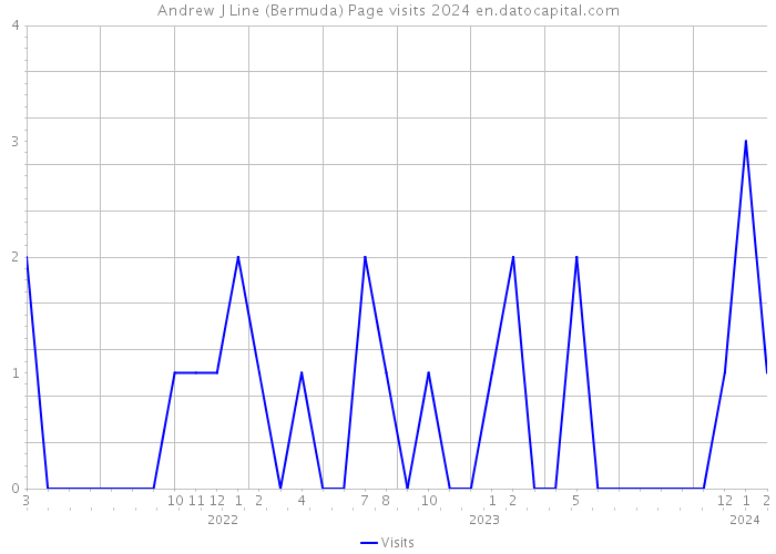 Andrew J Line (Bermuda) Page visits 2024 
