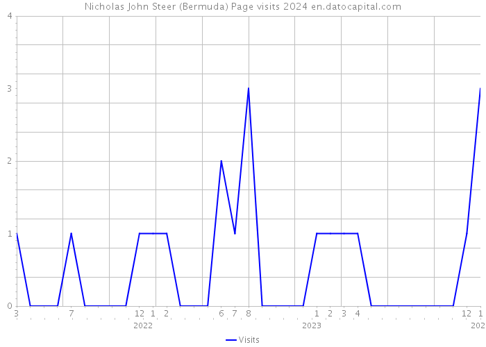 Nicholas John Steer (Bermuda) Page visits 2024 