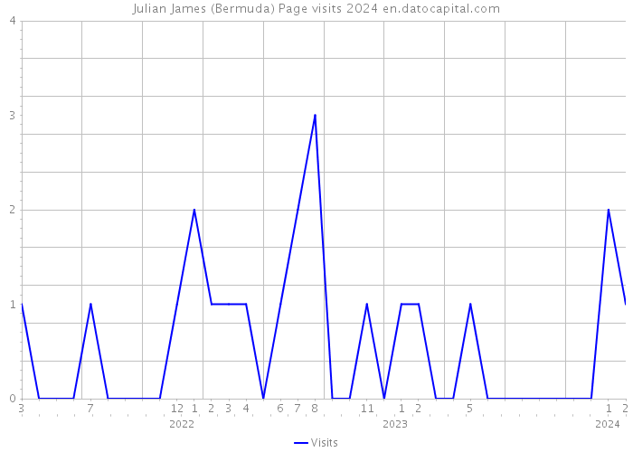 Julian James (Bermuda) Page visits 2024 