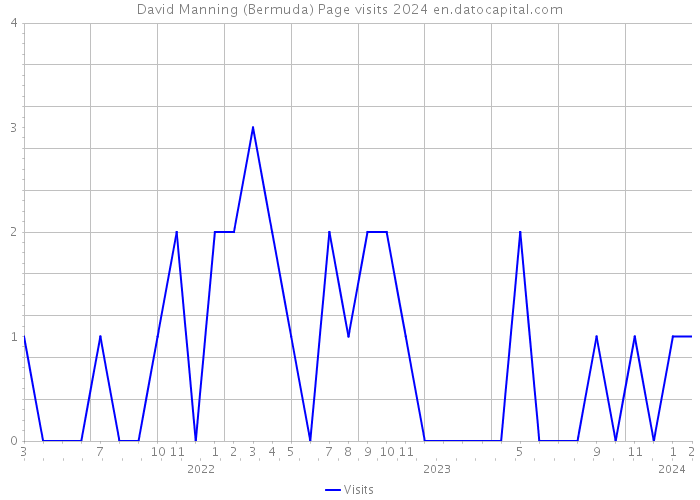 David Manning (Bermuda) Page visits 2024 