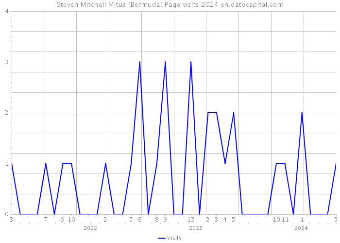 Steven Mitchell Mitus (Bermuda) Page visits 2024 