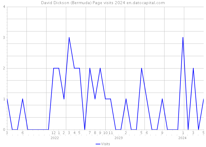 David Dickson (Bermuda) Page visits 2024 