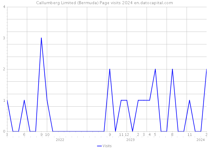 Callumberg Limited (Bermuda) Page visits 2024 
