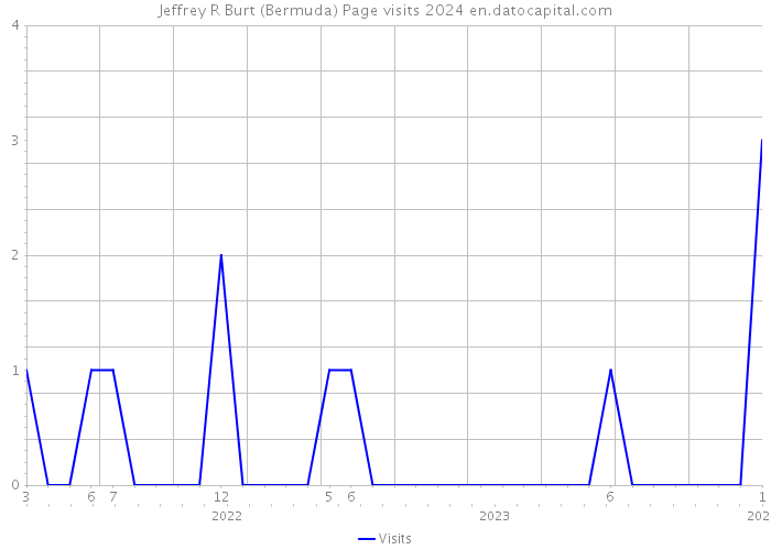 Jeffrey R Burt (Bermuda) Page visits 2024 