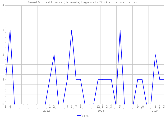 Daniel Michael Hruska (Bermuda) Page visits 2024 