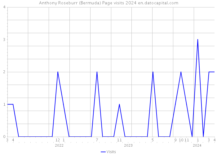 Anthony Roseburr (Bermuda) Page visits 2024 
