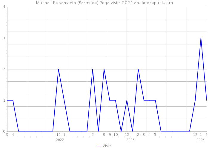 Mitchell Rubenstein (Bermuda) Page visits 2024 