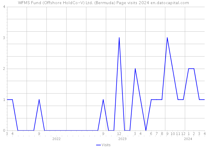 WFMS Fund (Offshore HoldCo-V) Ltd. (Bermuda) Page visits 2024 