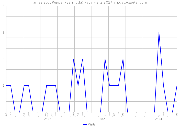 James Scot Pepper (Bermuda) Page visits 2024 