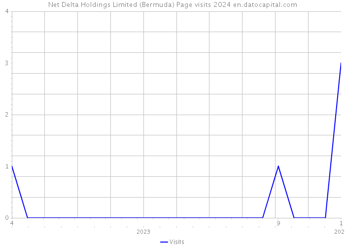 Net Delta Holdings Limited (Bermuda) Page visits 2024 