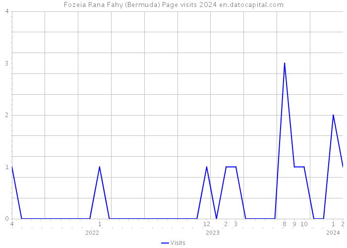 Fozeia Rana Fahy (Bermuda) Page visits 2024 