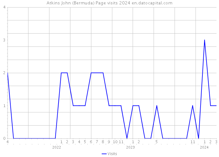 Atkins John (Bermuda) Page visits 2024 