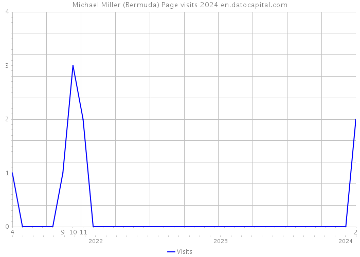 Michael Miller (Bermuda) Page visits 2024 