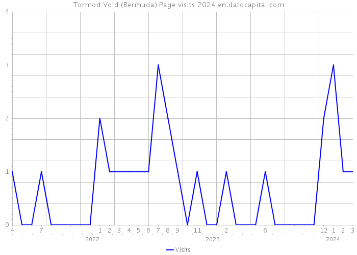 Tormod Vold (Bermuda) Page visits 2024 