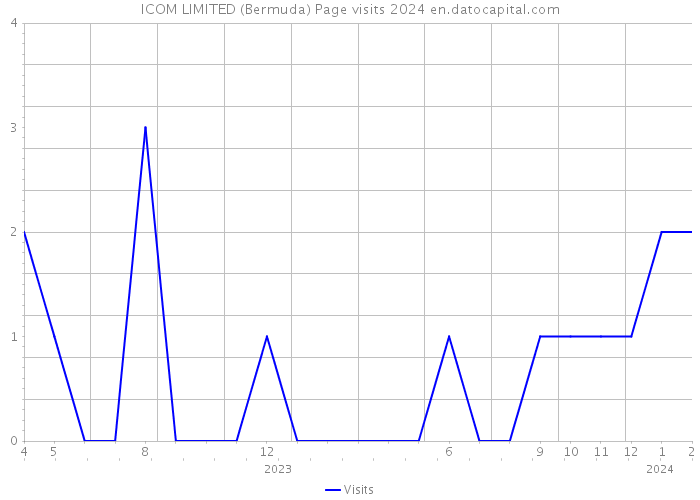 ICOM LIMITED (Bermuda) Page visits 2024 