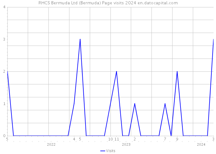 RHCS Bermuda Ltd (Bermuda) Page visits 2024 
