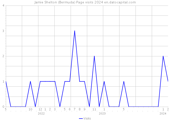 Jamie Shelton (Bermuda) Page visits 2024 