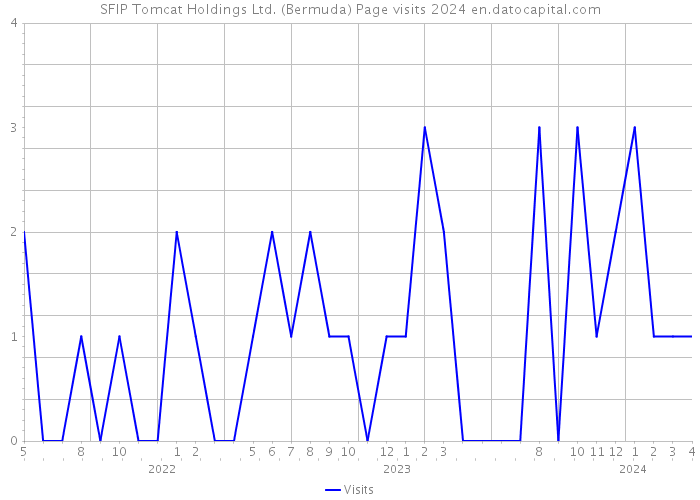 SFIP Tomcat Holdings Ltd. (Bermuda) Page visits 2024 