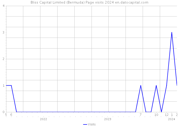 Bliss Capital Limited (Bermuda) Page visits 2024 