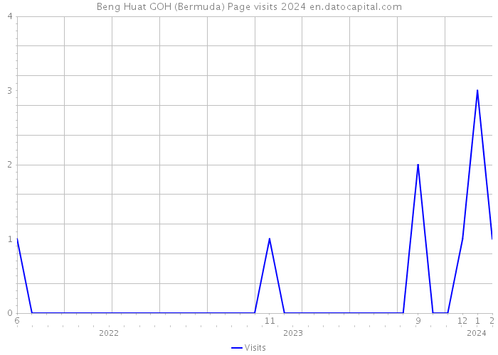 Beng Huat GOH (Bermuda) Page visits 2024 