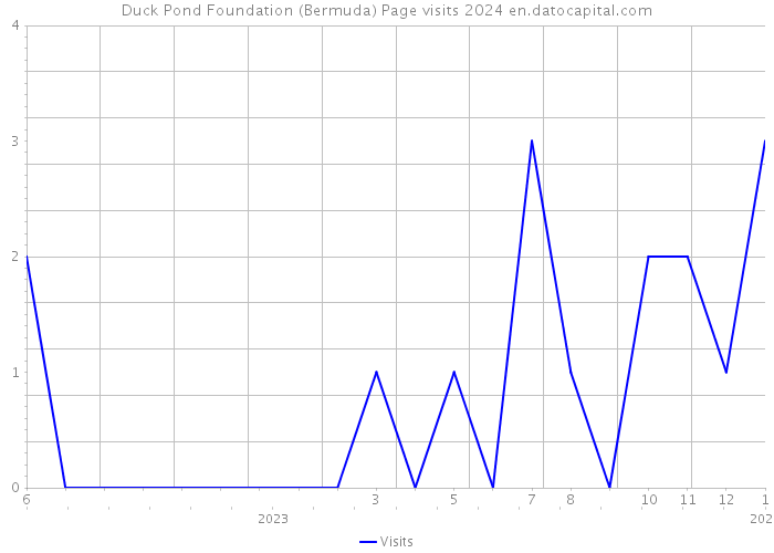 Duck Pond Foundation (Bermuda) Page visits 2024 