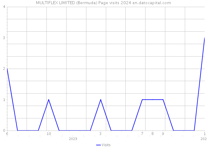MULTIFLEX LIMITED (Bermuda) Page visits 2024 