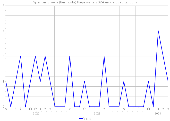 Spencer Brown (Bermuda) Page visits 2024 